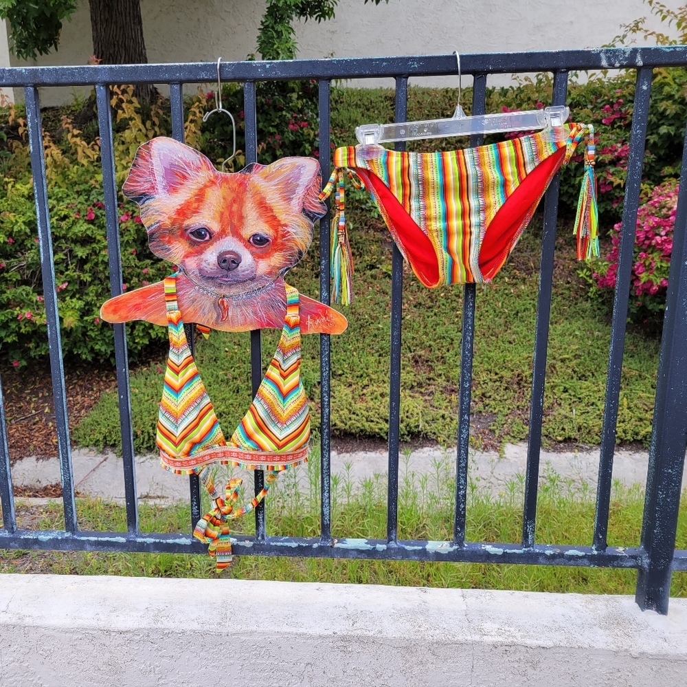 Fun Bikini Bathing Suit